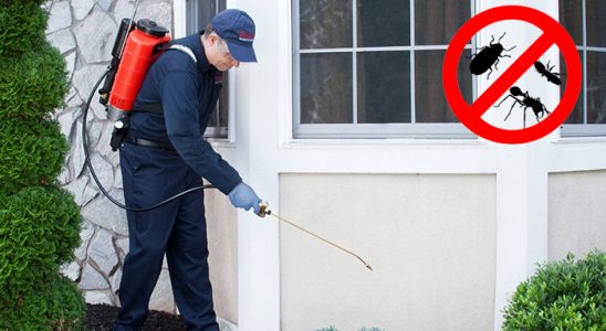 Kovancılar Fare İlaçlama böcek ilaçlama ve haşere kontrolü — ilaclama-tr.com